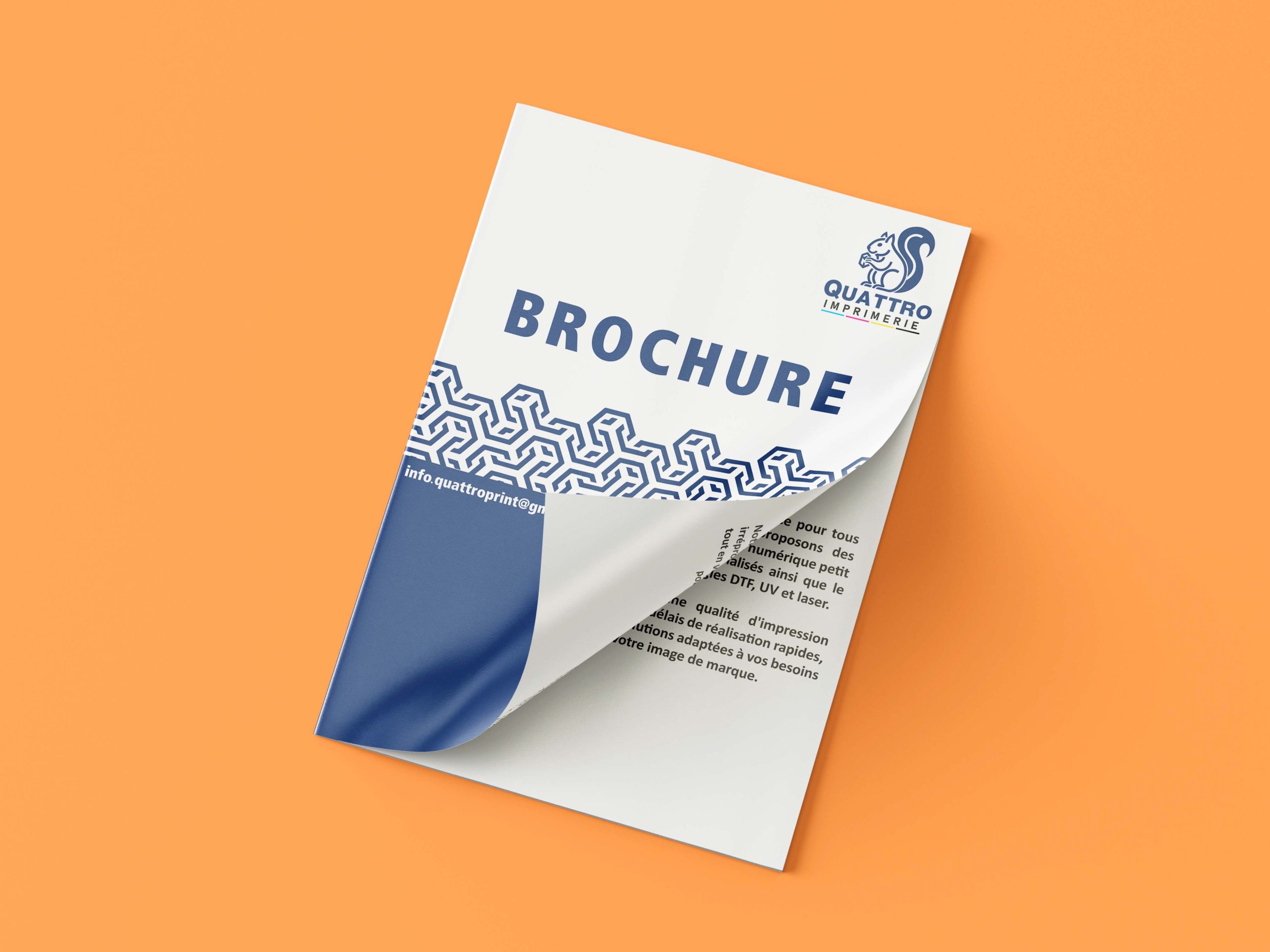 Brochure